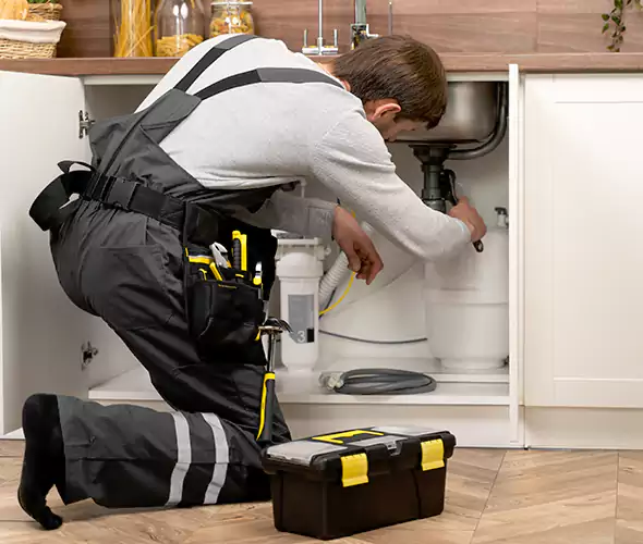 Certified Plumbers for Insinkerator Installation in Alpharetta