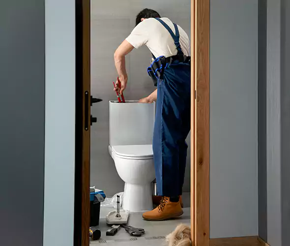 Professional Plumbers for Toilet Bowl Replacement in Alpharetta, GA: Schedule Affordable Toilet Replacement Services With Us