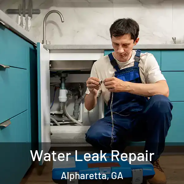  Water Leak Repair Alpharetta, GA