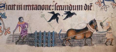 The Luttrell Psalter: A Miniature Marvel of Medieval Morality and Mysticism!